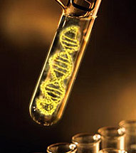 dna tube1
